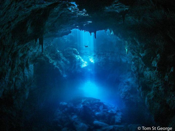 Incredible Underwater Photography by Tom St George