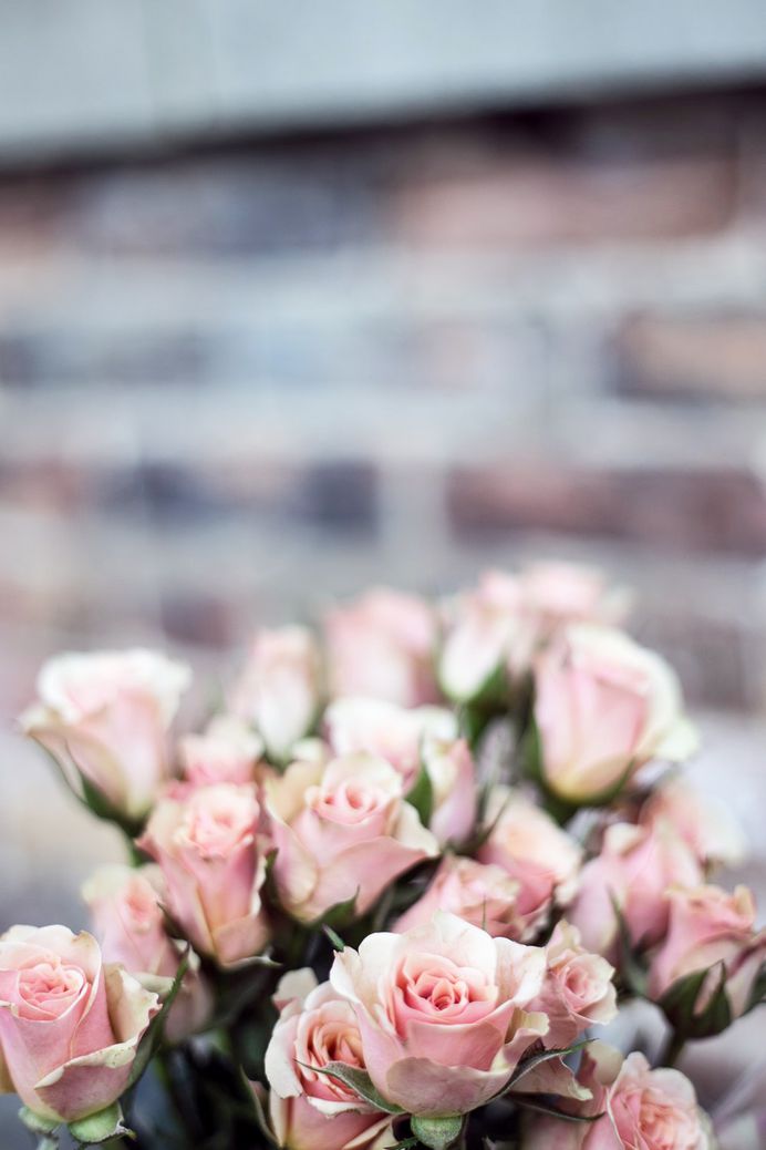 Romantic floral bouquet of pink roses