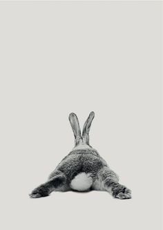 Art de lapin Woodlands Nursery Art, décoration murale lapin, bébé noir et blanc ..., #blanc #decoration #lapin #murale #nursery #woodlands