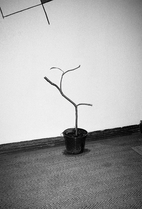 Sebastian Stadler | PICDIT #photo #photography