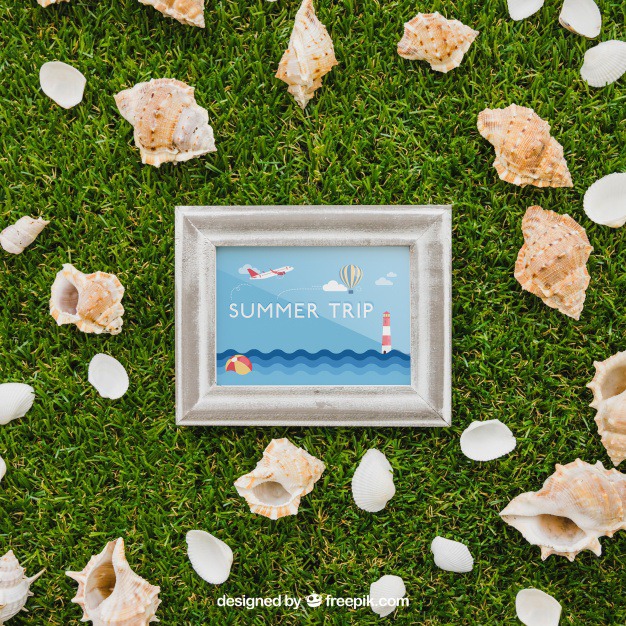 Frame and shells on grass Free Psd. See more inspiration related to Frame, Mockup, Summer, Template, Sea, Photo frame, Grass, Photo, Holiday, Mock up, Decoration, Pineapple, Decorative, Vacation, Templates, Shell, Aloha, Up, Season, Sea shell, Seashell, Shells, Composition, Mock, Summertime and Seasonal on Freepik.