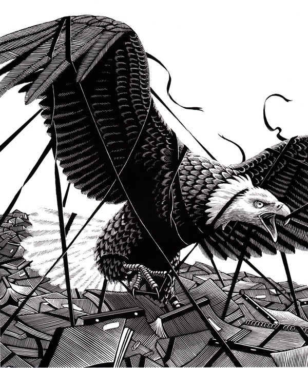 Black and White on the Behance Network #talons #escape #of #books #feathers #bird #illustration #eagle #etching #prey