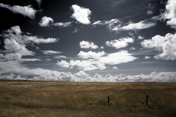 Sylt Island / Carsten Witte #carsten #germany #witte #island #sylt #photography
