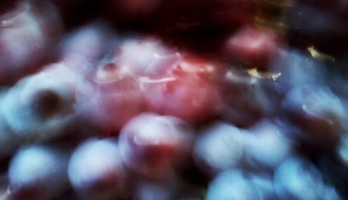 everything shines #grapes #light #food