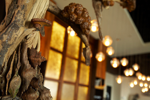 MIso 3 #decor