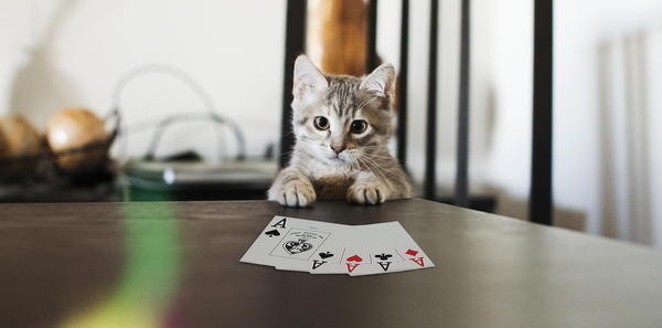Maggie poker face #maggie