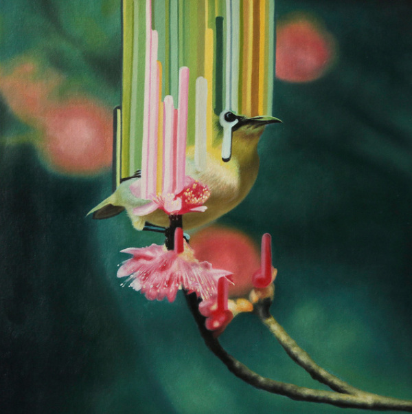 Maurizio Bongiovanni | PICDIT
