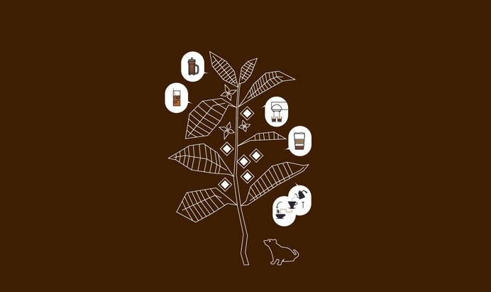 Minimal coffee plant illustration featuring various types of coffee and a luwak wondering which bean he should eat first. As featured on Kanis Majoris.