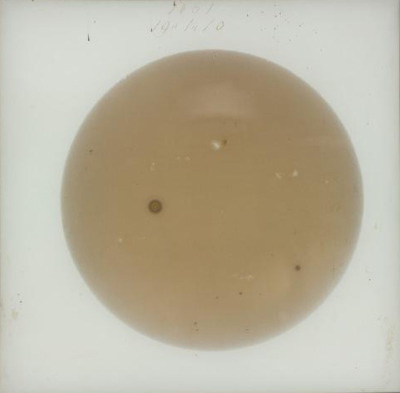 Warren De La Rue, Sun, one of six negative photographs taken with the Kew Photoheliograph, showing the sun on January 1, 1861 at 1h 0m.