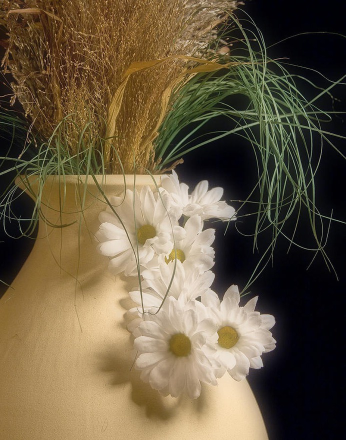 daisy painting & daisy paint by number #painting