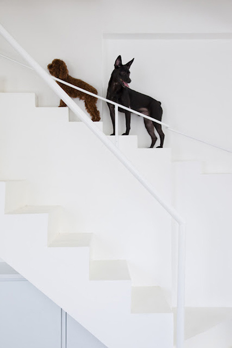 House Renovation in Vietnam by 07Beach #staircase #dogs