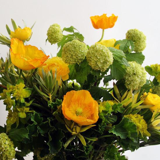 Yellow_Close_550x550.jpg (550×550)