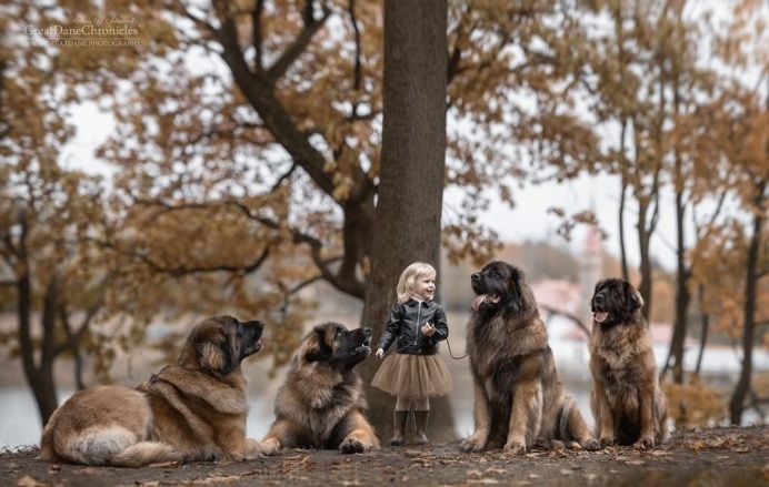 Little Kids And Their Big Dogs by Andy Seliverstoff