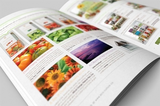 Seracon | WAHBA MEDIA | Graphic Design | Web Development | Branding #catalog #print #eco #green