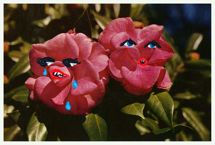 Angela_deane_flora_int_1