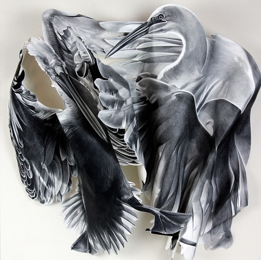 David B. Smith Gallery | Christina Empedocles, White Water #illustration #paper
