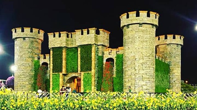 Flower fort is also one of the most popular floral themes of the Dubai Miracle Garden.