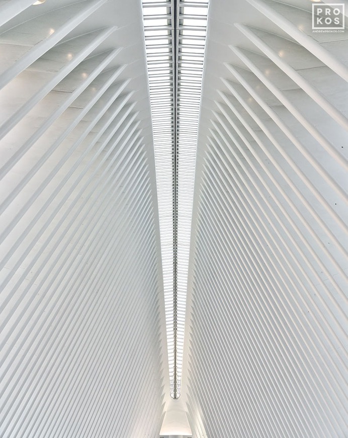 New York contemporary architectural and interior photography by Andrew Prokos

#photography #architecture #AndrewProkos #architecturalphotography #photographers #NYC #NewYork #photo #interior #modern #contemporary #white #oculus #calatrava