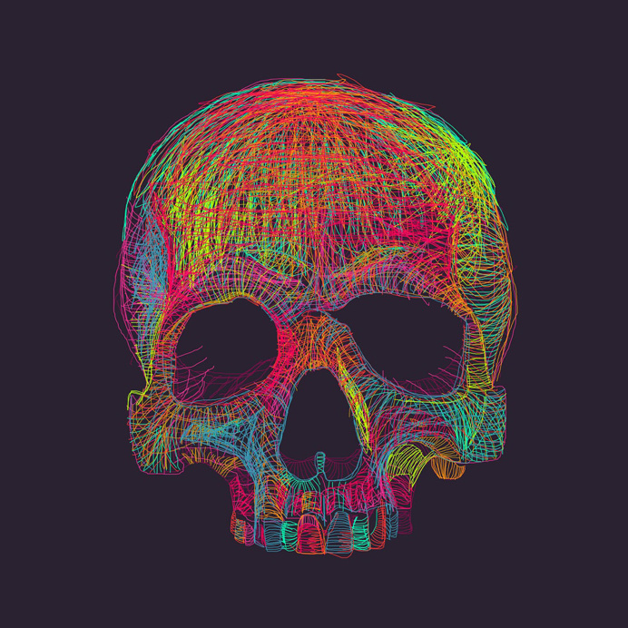 Skull Illustration by Giuseppe Gallo, Mirabilia