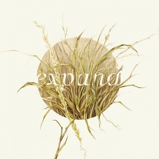 expand | contract on the Behance Network #illustration #field #expand