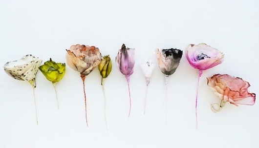 Anthology Magazine | Artists | Paper Flowers by Lyndie Dourthe #paper #flowers