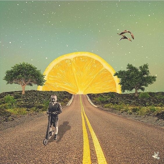 1,399 Likes, 21 Comments - Collage Collective Co (@collagecollectiveco) on Instagram: "@pamepintorojas #collageart #collageartist #collage