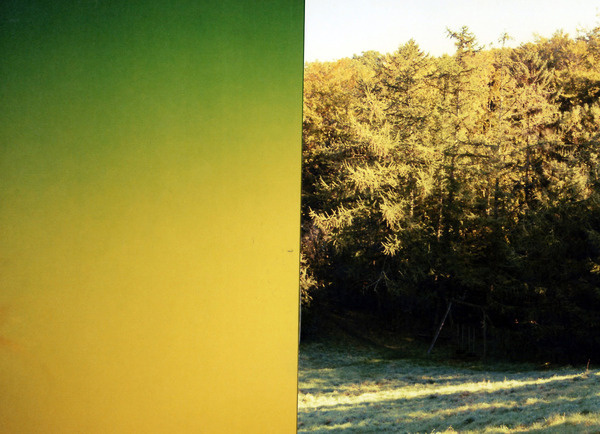 Laura Knoopshttp://knoops.fr VS http://spoonk.fr #yellow #color #colours #nature #photography #green