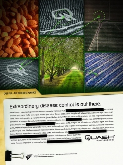 Quash Single Page Print Ad | Flickr - Photo Sharing! #files #design #advertising #art #x #layout #agriculture