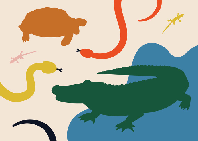 BKTX #illustration
