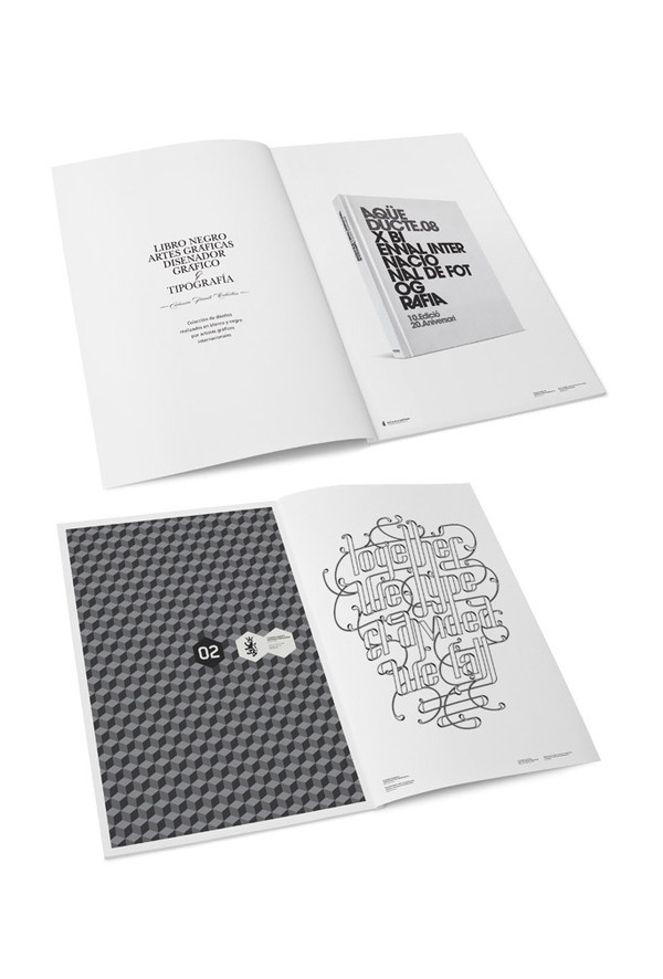 POSTERS III on Behance #type #design #book #clean