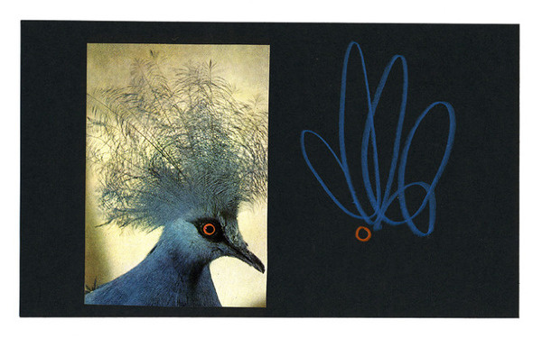 blueBIRDred anthony zinonos works #collage