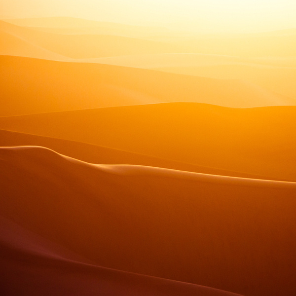 Dunescape #shadows #dune #namibian #dunes #sunset #patterns #desert #namibia