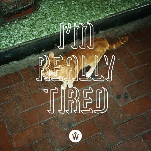 PHOTO QUOTE / February - PHOTO QUOTE #photoquote #quote #photo #design #graphic #alanderwong #typography