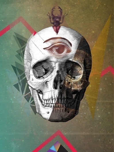 david▲fallow on the Behance Network #geometry #fallow #eye #calavera #skull #david