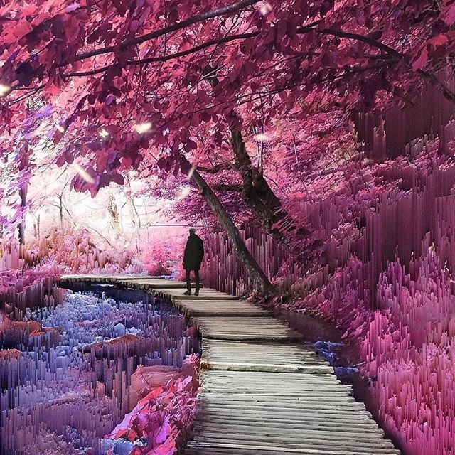 #pixel #sorting #glitch #art #Pixelsorting #landscape #forest #composite #poster #photography