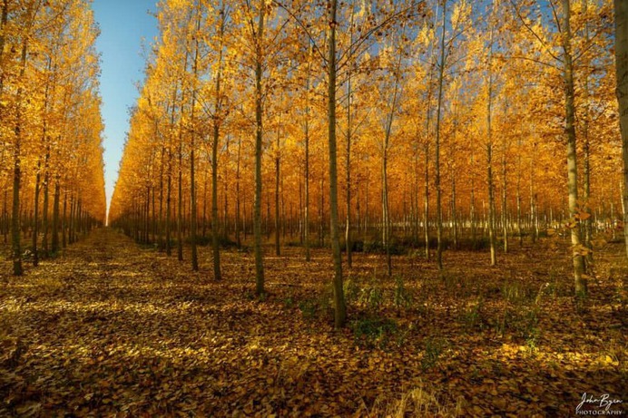 Beautiful Long Exposure Landscapes in Oregon by John Byrn