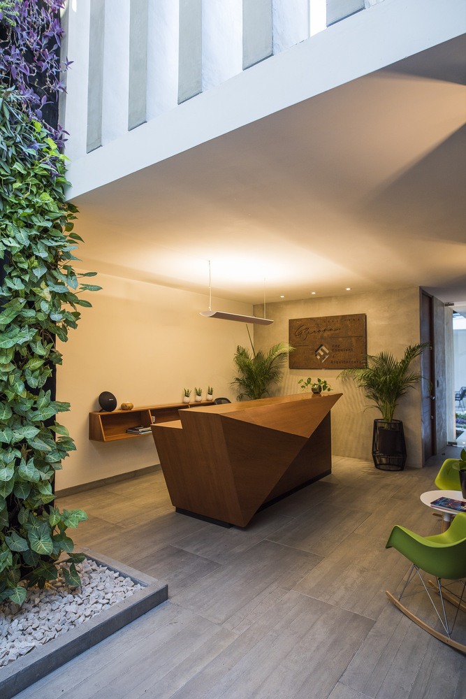 FDZ Esquivel Studio / FDZ Esquivel / Arquitectura