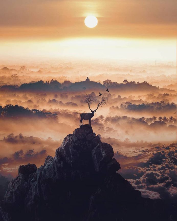 Dreamlike and Surreal Photo Manipulations by Septian Bayu Abdullah