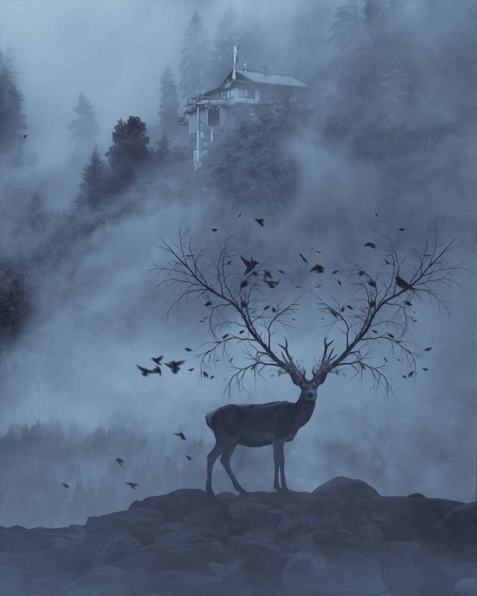 Surreal and Dreamlike Photo Manipulations by Yasin Yolcu
