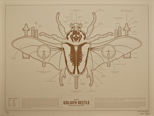 FPO: Weaponized Goliath Beetle Print #diagram #infographic #design #illustration
