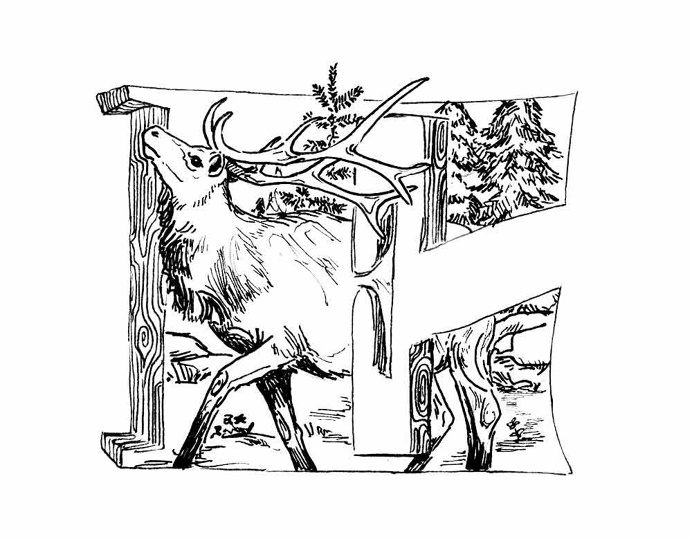 Elk Illustration #Elk #E #Alphabet #micron #letter #poster #lettering #pen #illustration