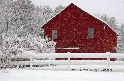 Photography by Vicki Lund #photography