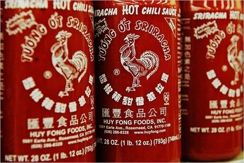 Google Image Result for http://25.media.tumblr.com/cHQCLSotWnq8q95o7iurB7Spo1_500.jpg #logo #undesign #rooster