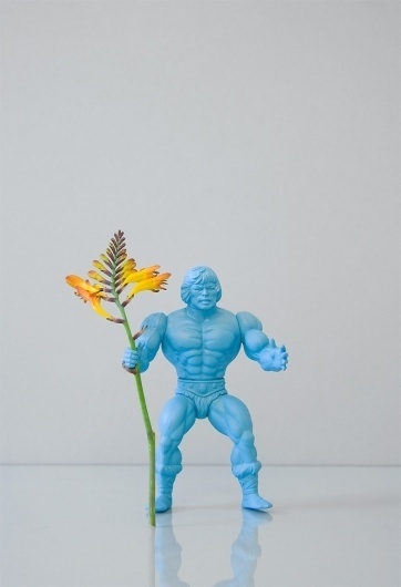 POWER FLOWER : OPEN STUDIO #flower #photography