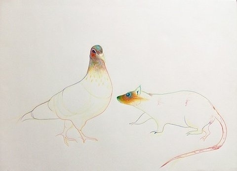 FFFFOUND! | tumblr_kxdaezGzXf1qaz0wuo1_500.jpg (JPEG Image, 500x360 pixels) #illustration #animals