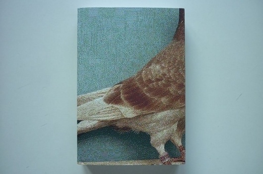 PIDGIN - ARCHIZINES #edit #fanzine