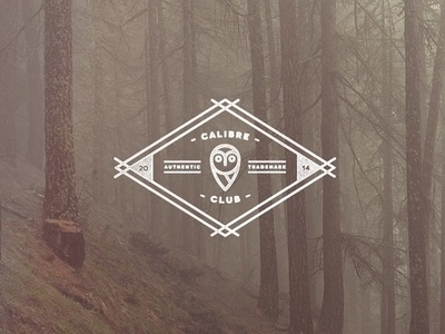 Calibre Club - Vision Over Sight by Jeremy Vessey on Dribbble. #badge #apparel #icon #geometric #vintage #logo #forest #typography