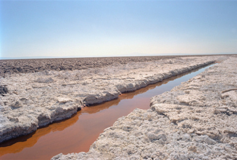 Allison Davies | PICDIT #photo #photography #landscape