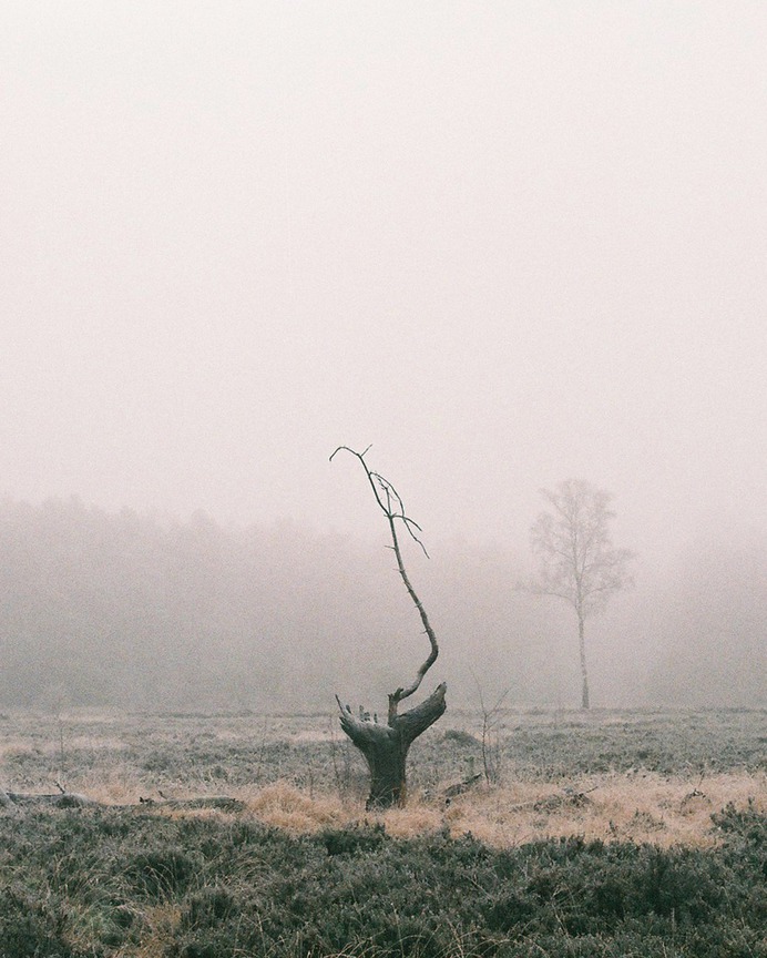 Photographer Spotlight: Sonia Perdeck – BOOOOOOOM! – CREATE * INSPIRE * COMMUNITY * ART * DESIGN * MUSIC * FILM * PHOTO * PROJECTS