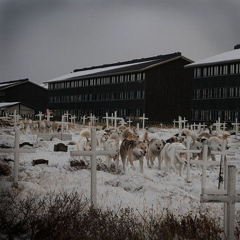 FFFFOUND! | YIMMY'S YAYO™ #cemetary #snow #wolf #winter